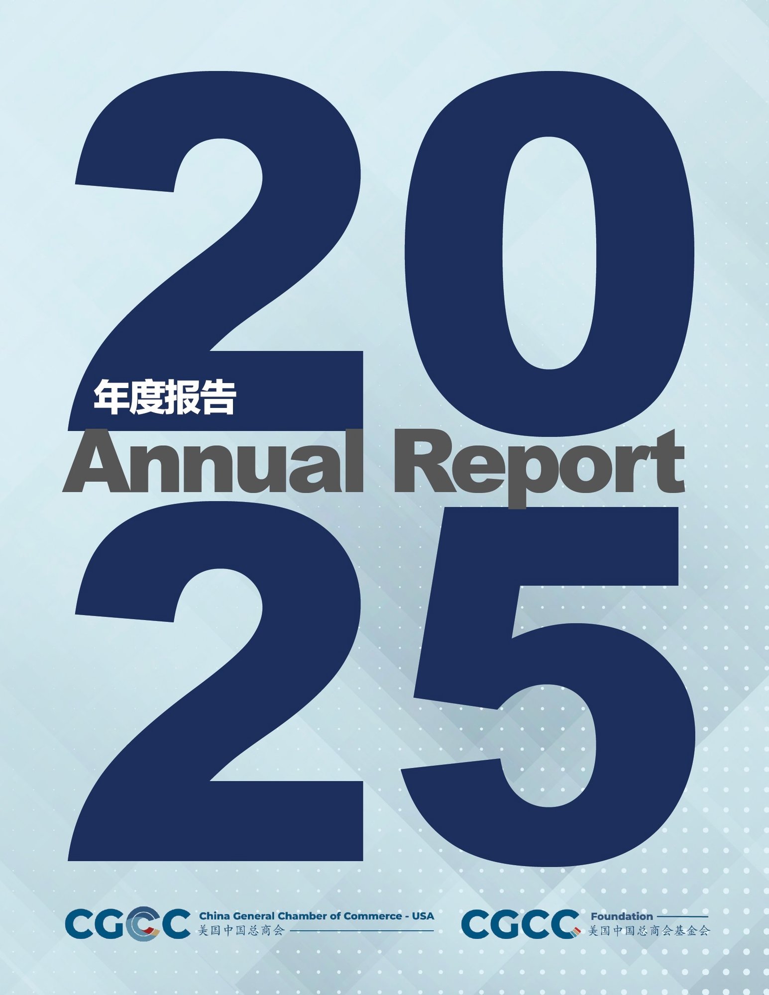 2025 AR Online Cover